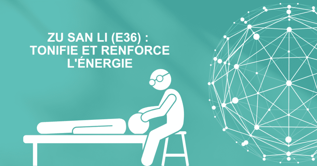 Zu san Li (E36) : Tonifie et renforce l'énergie